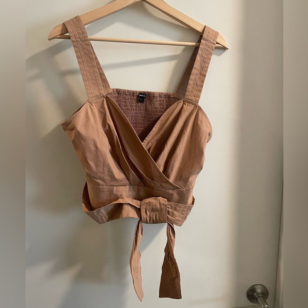 Express Terracotta tie crop Top never worn